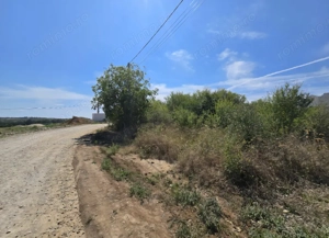 Teren Paleu Intravilan  - imagine 3