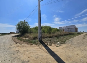 Teren Paleu Intravilan  - imagine 6