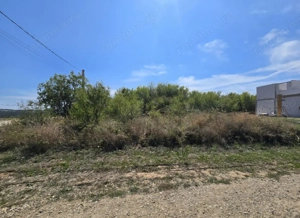 Teren Paleu Intravilan  - imagine 4