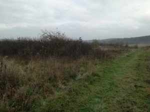 teren arabil , fânaț , livadă lângă pădure situate în Turdaș și Leșnic  - imagine 2