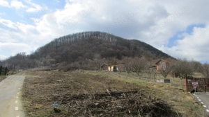 teren arabil , fânaț , livadă lângă pădure situate în Turdaș și Leșnic  - imagine 6