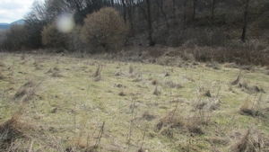 teren arabil , fânaț , livadă lângă pădure situate în Turdaș și Leșnic  - imagine 8