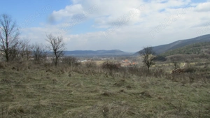 teren arabil , fânaț , livadă lângă pădure situate în Turdaș și Leșnic  - imagine 7