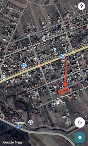 Proprietar   Teren Intravilan 1200 mp, Pielești - imagine 2
