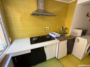 Constantin Ion  - imagine 8 Constantin Ion  - imagine 8