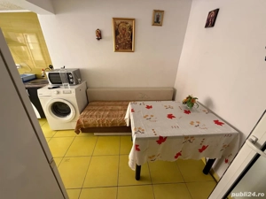 Constantin Ion  - imagine 3 Constantin Ion  - imagine 3