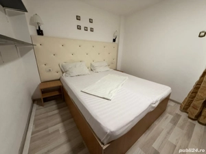 Constantin Ion  - imagine 2 Constantin Ion  - imagine 2