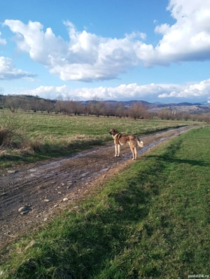 Vand caine - imagine 2