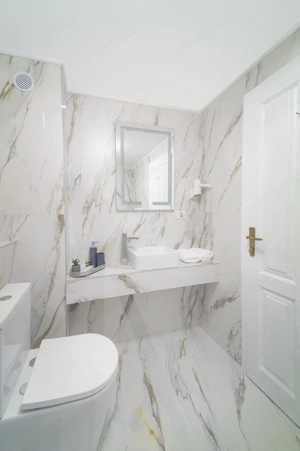 Hotel / Business / Timisoara - imagine 4