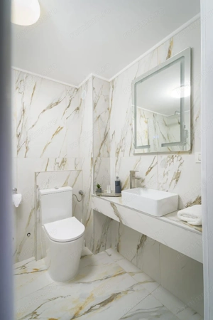 Hotel / Business / Timisoara - imagine 3