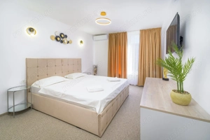 Hotel / Business / Timisoara