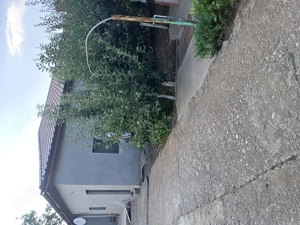 Vânzare imobil - imagine 2