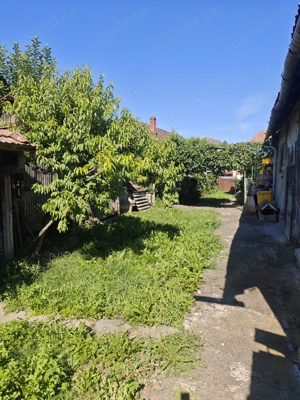 casa si teren de vanzare - imagine 4