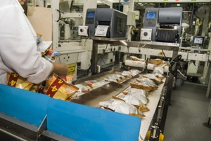 Muncitori necalificati la fabrici si depozite in Germania - imagine 5