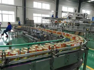 Muncitori necalificati la fabrici si depozite in Germania - imagine 4