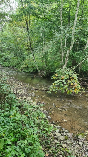 Vând casă pe Transapuseana  - imagine 8