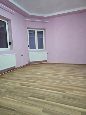 Casa cu curte Blascovici Bogdanesti in fața  - imagine 2