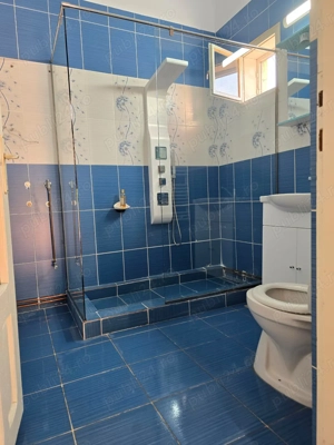 Casa cu curte Blascovici Bogdanesti in fața  - imagine 6