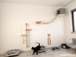 cazare animale  - imagine 2