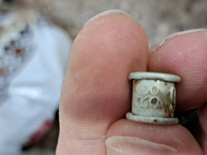 Inele porumbei - imagine 5