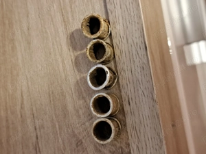 Inele porumbei - imagine 3