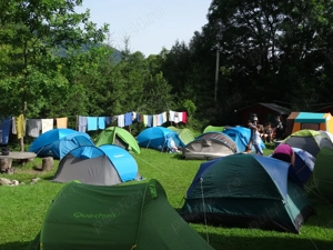 De vanzare - imagine 5