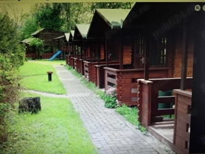 De vanzare - imagine 6