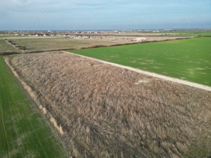 Teren intravilan Sacalaz - imagine 4