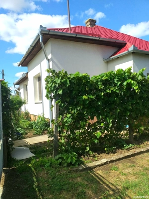 Casă si gradina Petrești  - imagine 2  Casă si gradina Petrești  - imagine 2