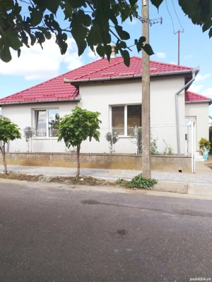 Casă si gradina Petrești  - imagine 7  Casă si gradina Petrești  - imagine 7