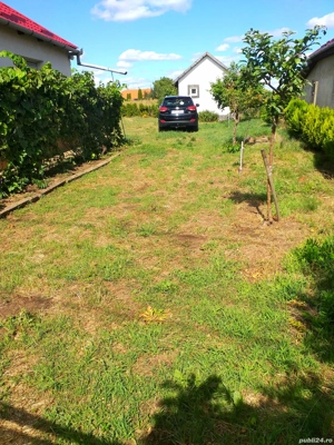 Casă si gradina Petrești  - imagine 9  Casă si gradina Petrești  - imagine 9