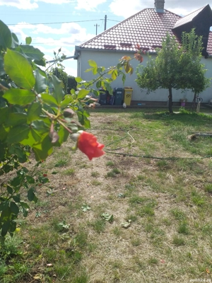 Casă si gradina Petrești  - imagine 8  Casă si gradina Petrești  - imagine 8