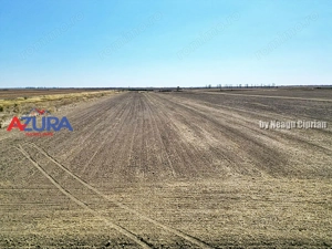 Teren agricol, 5HA, comasat, drum acces, Cateasca - imagine 7