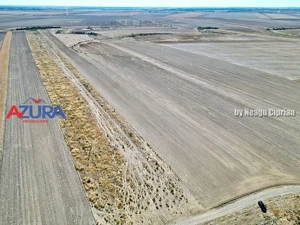 Teren agricol, 5HA, comasat, drum acces, Cateasca - imagine 9