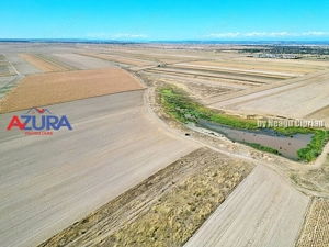 Teren agricol, 5HA, comasat, drum acces, Cateasca - imagine 5