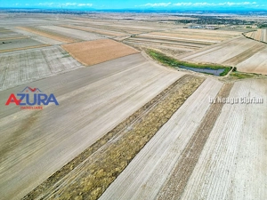 Teren agricol, 5HA, comasat, drum acces, Cateasca - imagine 6