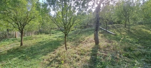 Teren si constructii situate in intravilan 7.780 mp, comuna Bertea, sat Lutu Rosu, Prahova - imagine 2