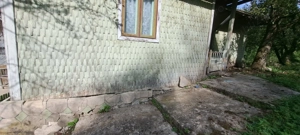 Teren si constructii situate in intravilan 7.780 mp, comuna Bertea, sat Lutu Rosu, Prahova - imagine 4