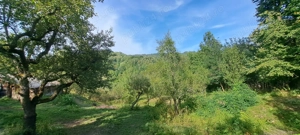 Teren si constructii situate in intravilan 7.780 mp, comuna Bertea, sat Lutu Rosu, Prahova - imagine 5