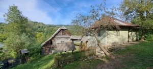 Teren si constructii situate in intravilan 7.780 mp, comuna Bertea, sat Lutu Rosu, Prahova - imagine 8