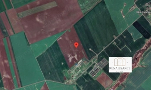 Calacea - Ortisoara Teren 20 Hectare - Parc Fotovoltaic - 2 Puncte LEA