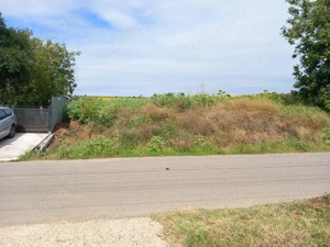 Teren strada Principala Zapodia Traian