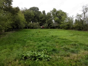 Teren 1980 mp intravilan, com. Stefan cel Mare, jud Arges vand   schimb cu garsoniera plus diferenta - imagine 6