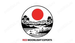 Întocmire documentații licitații publice SEAP