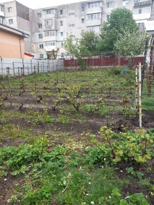  Vanzare teren constructii 