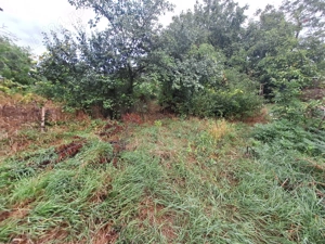 Vând Casă bătrânească Horlesti-Rediu - imagine 6