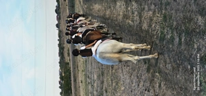 Angajez grajdar la cai