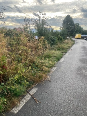  Teren parcele Păun   Bârnova