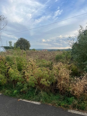  Vând parcele de teren Păun   Bârnova