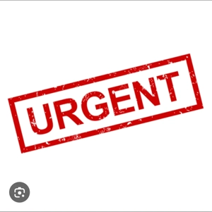 Caut colega studenta pt a împărți chiria